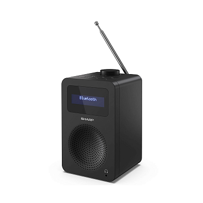 Радиоприемник Sharp DR-430 Black