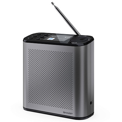 Радиоприемник Sharp DR-P530 Grey