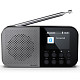 Радиоприемник Sharp DR-P520 Storm Grey