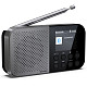 Радиоприемник Sharp DR-P520 Storm Grey