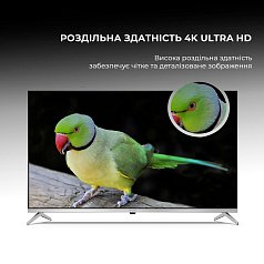 Телевизор SHARP 50HP5265E купить в официальном интернет-магазине