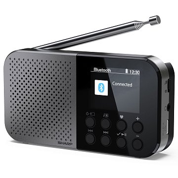 DR-P520                       