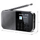 Радиоприемник Sharp DR-P520 Storm Grey