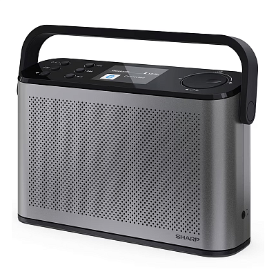Радиоприемник Sharp DR-P540 Grey